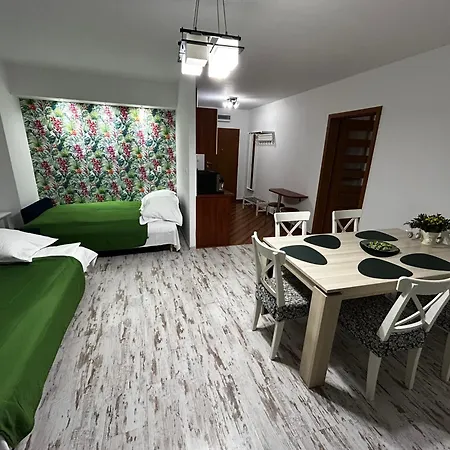 Apartament Anna-2