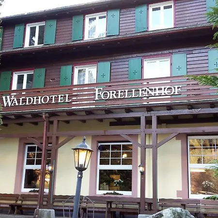 Waldhotel Forellenhof-2