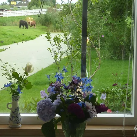 B&B Bloom-3