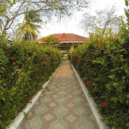 Golden Frog Hostels-3