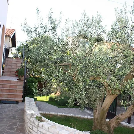 Apartments Mirela-3