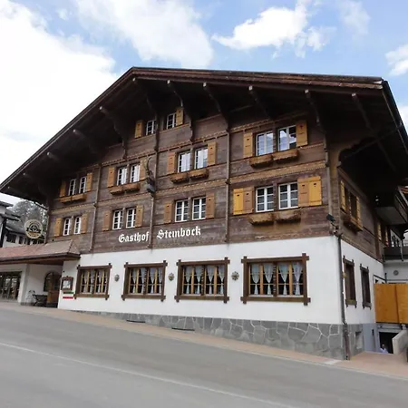 Hotel Steinbock-2