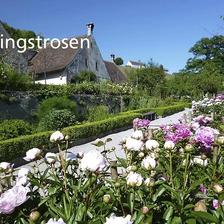 Kartause Ittingen-3