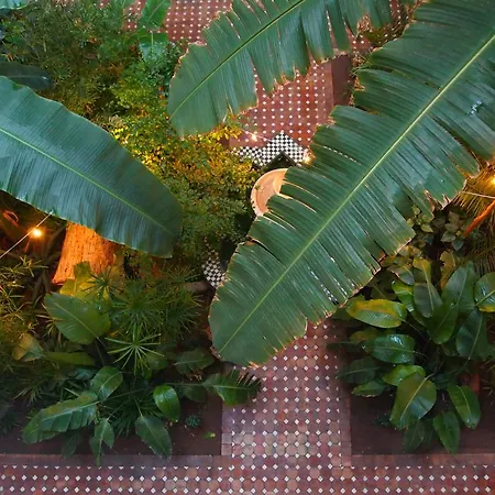Riad Jardin Secret-2
