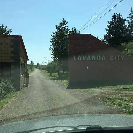 Lavanda City 3-1-2