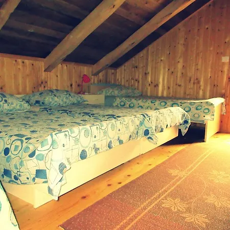 Kamp Rut-3