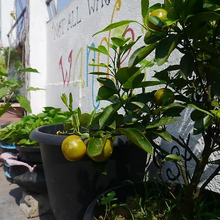 Colombo City Hostel-3