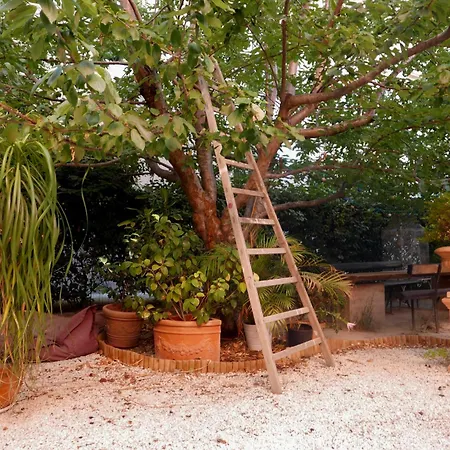 Jardin Vieux Port Panier-2