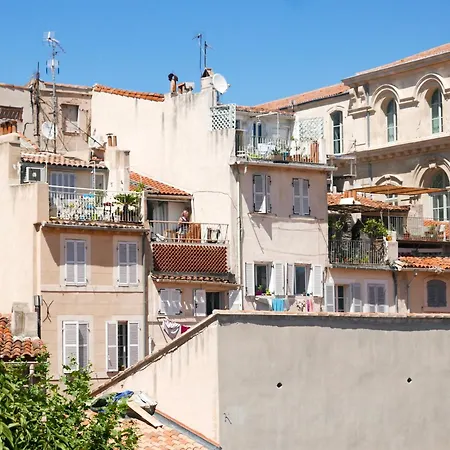 Vieux Port Panier Jardin-2
