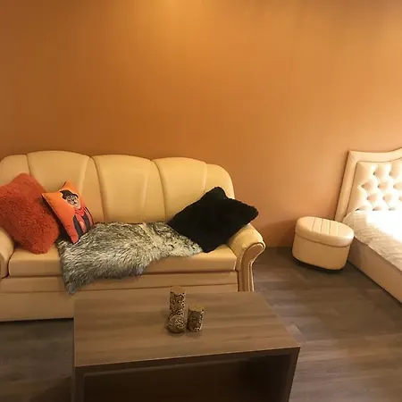 Trumpalaike Buto Nuoma Rokiskyje Su Jacuzzi-2
