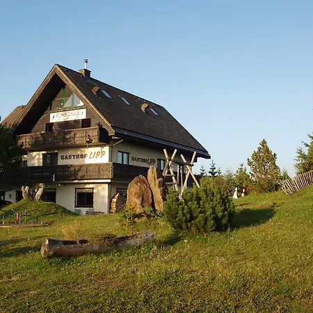 Sportgasthof Lipp-3