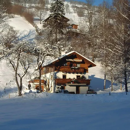 Haus Gandler-2