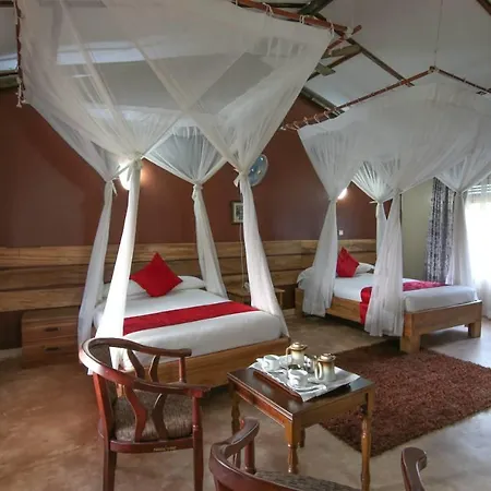 Pakuba Safari Lodge-3