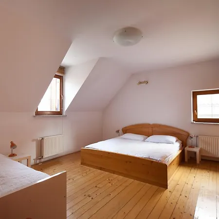 Spacious 2-Bedroom Apartment Zabjak With Ac Tour As Ljubljana-3