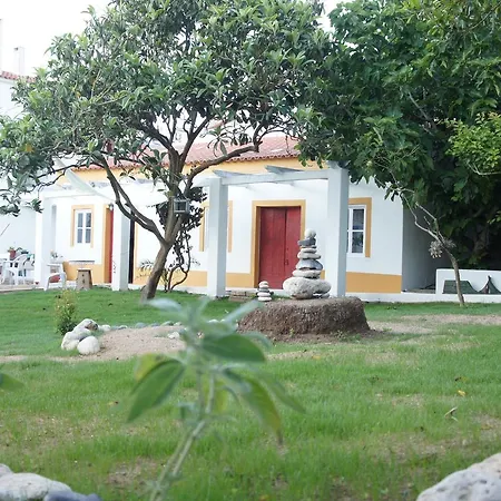 Olive3 Ericeira-3