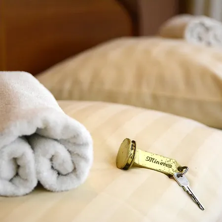 Hotel Minerva-2