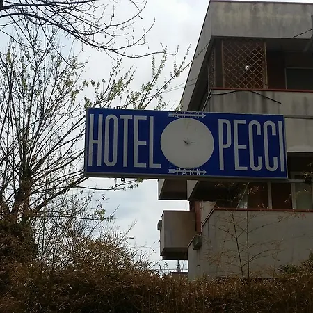 Hotel Pecci-3