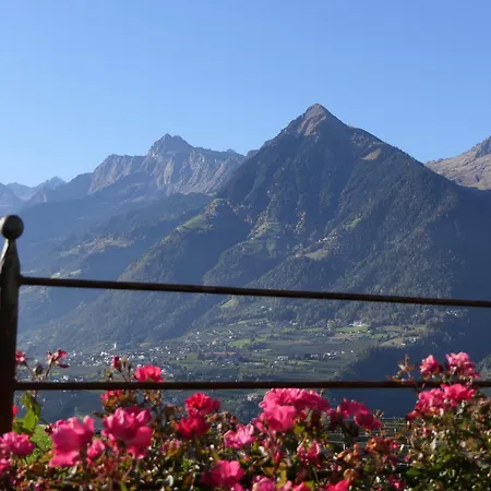 B&B Gurterhof-3