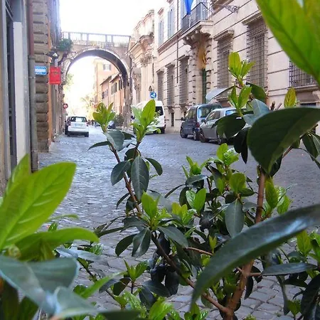Via Giulia Apartment-2