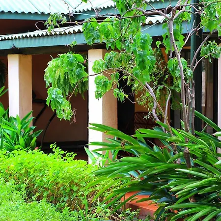 Butterfly Apartments-3