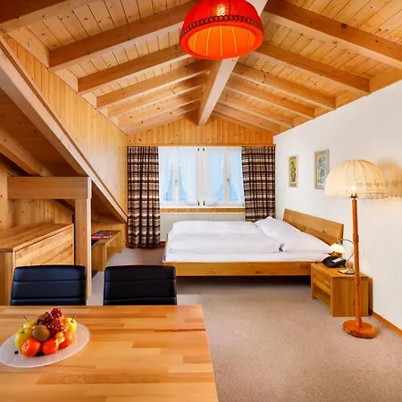 Chalet Altenhaus-3