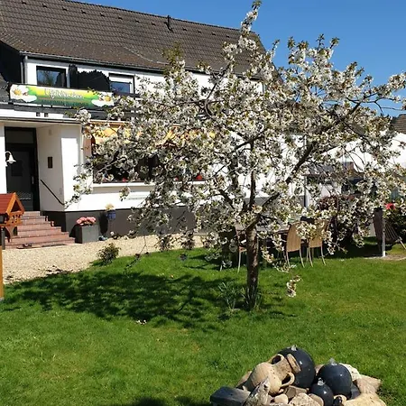 Eifelblümchen-3