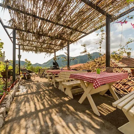 Guest House Luna-2