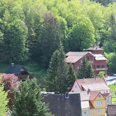 Hotel-Pension Waldhaus-3