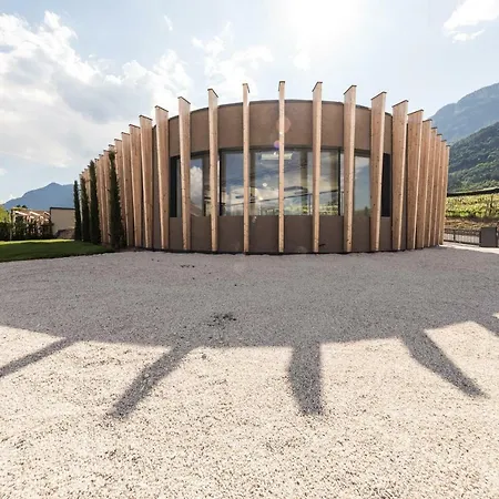 Weingut Moser Apartments-3