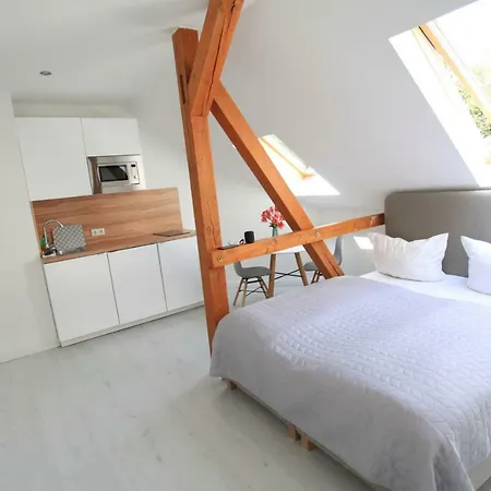 Zollikof Aparts - Sauna & Studioapartments-3