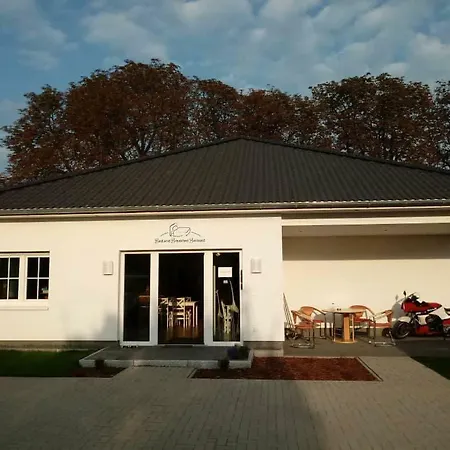 B&B Beckord Erlengrund-3
