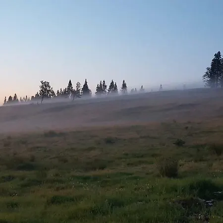 Rogla App Jerebika 11-3