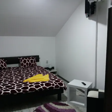 Casa Barza-3