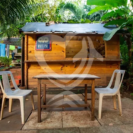 Zulu Land Cottages - Near Curlies Beach Shack And Shiva Valley - Anjuna Beach-3