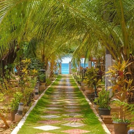 Coconut Beach Lodge-2