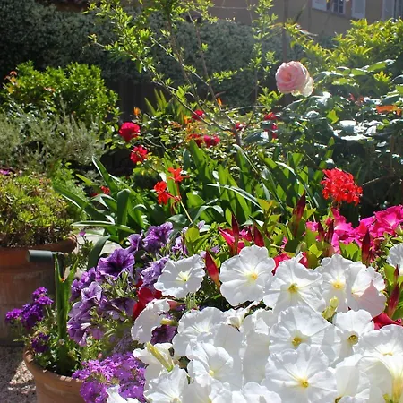 Hotel Les Palmiers-2