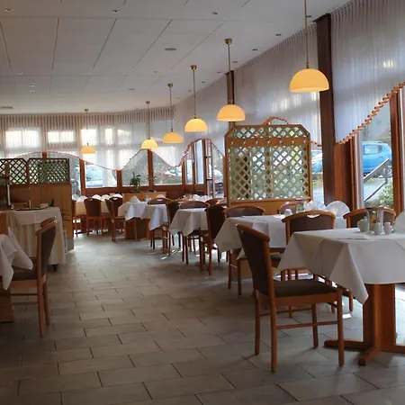 Kurpark Hotel Im Ilsetal-2