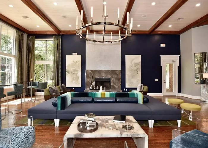 Lavish Apartment Near Houston Medical Centre