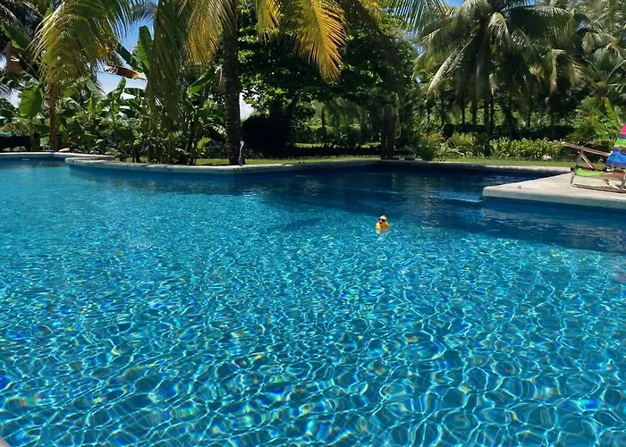 Sand Dollar Beach Bed&Breakfast Bocas del Toro