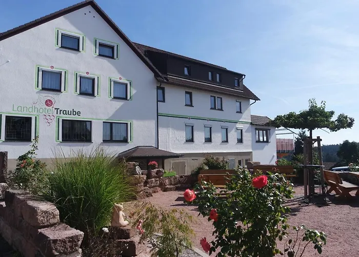 Landhotel Traube Seewald