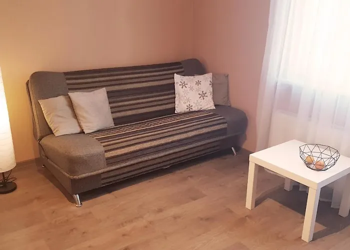 Birch View Apartment Jelgava