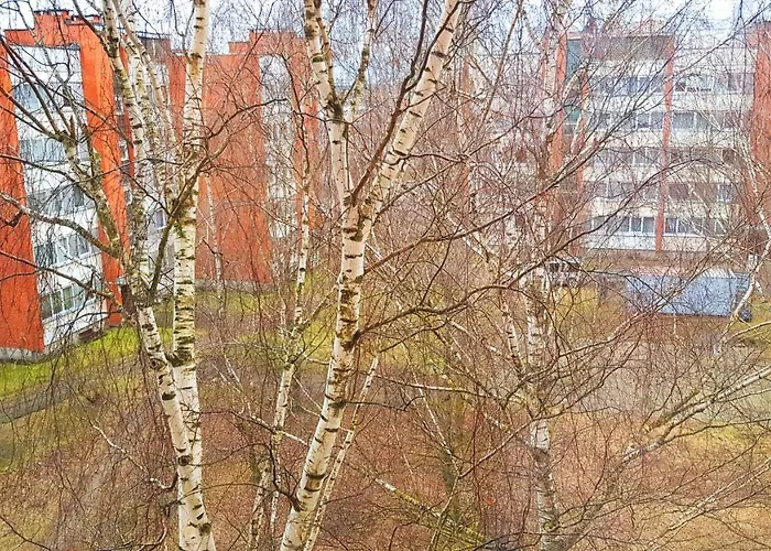 Birch View Apartment Jelgava