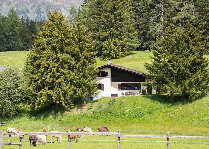 Chalet Laret Davos