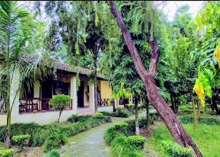 Rhino Lodge Bardia Pvt Ltd Bardiya