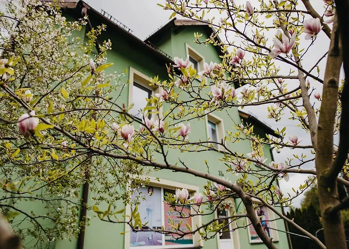 Apartamenty Magnolia Stronie Śląskie