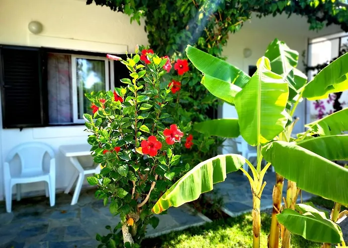 Aparthotel Ilios And Irene Mastichari 