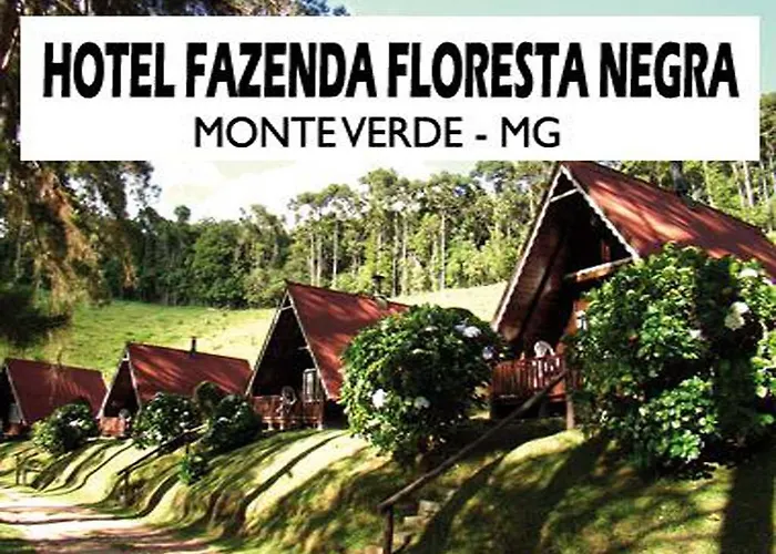 Hotel Fazenda Floresta Negra Monte Verde 