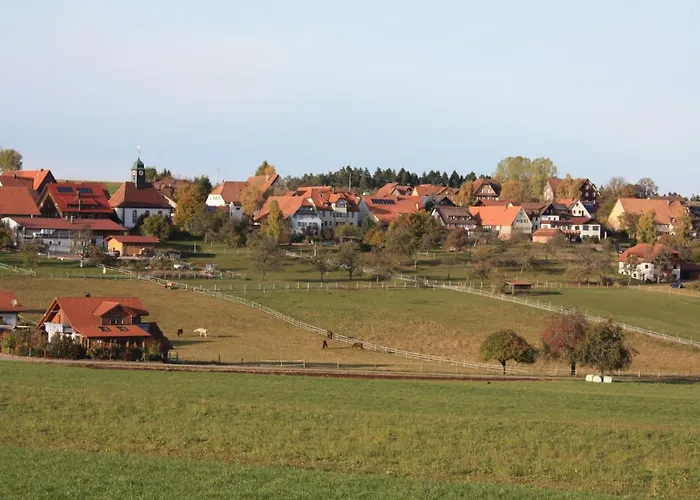 Landhotel Traube Seewald