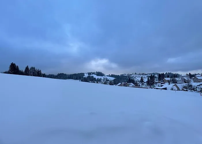 Chata Vevericka Oravská Lesná