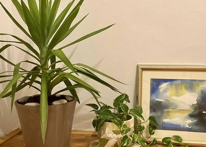 Apartman Sanja Banja Luka